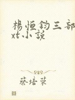 杨恒钧三部曲txt小说