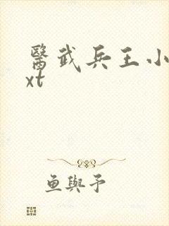 医武兵王小说txt