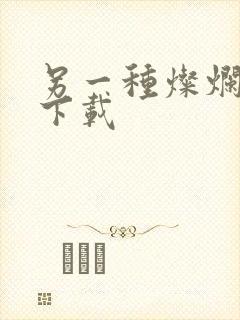 另一种灿烂生活下载