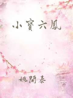 小宝六凤
