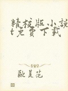 精校版小说txt免费下载