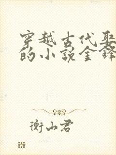 穿越古代娶媳妇的小说金锋