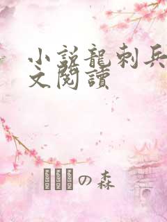 小说龙刺兵王全文阅读