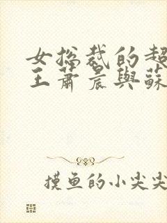 女总裁的超级兵王萧晨与苏晴