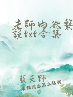 老师肉欲系列小说txt合集