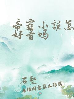 帝霸小说怎么样好看吗