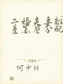 二婚夫妻离婚财产怎么分配 房子