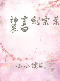 神霄剑宗叶枫苏慕白