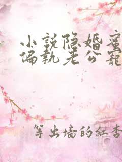 小说隐婚蜜爱:偏执老公宠上瘾免费下载