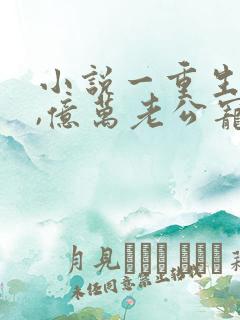 小说一重生影后,亿万老公宠上天