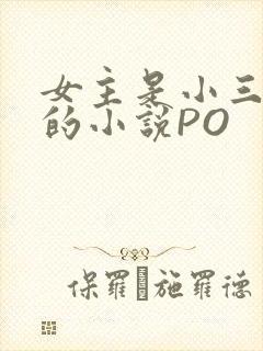 女主是小三很婊的小说PO