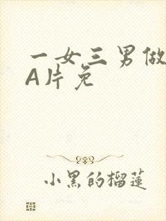 一女三男做2爱A片免