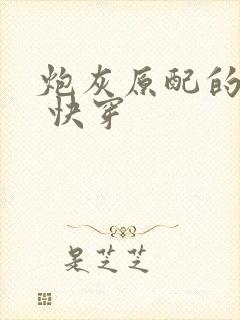 炮灰原配的人生 快穿