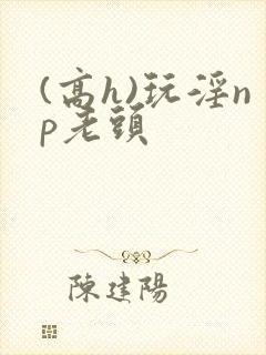 (高h)玩淫np老头