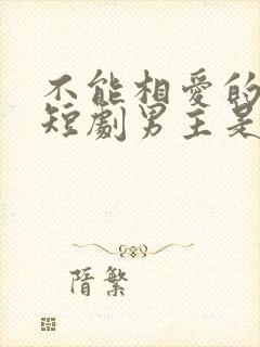 不能相爱的我们短剧男主是谁