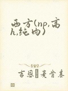 西方(np,高h,纯肉)