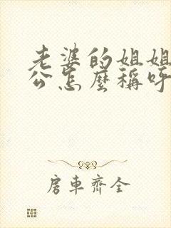 老婆的姐姐的老公怎么称呼