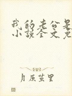 我的老公是大佬小说全文免费阅读