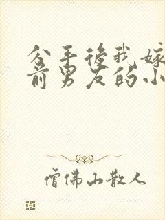 分手后我嫁给了前男友的小叔小说