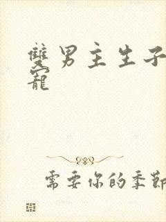 双男主生子文甜宠