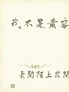 我不是黄容