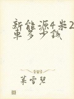 新能源4米2货车多少钱