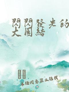 闪闪发光的小说大团结