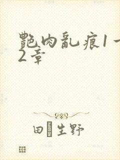 艳肉乱痕1一12章