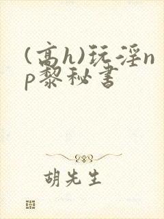 (高h)玩淫np黎秘书