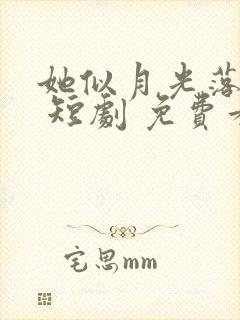 她似月光落我心 短剧 免费看