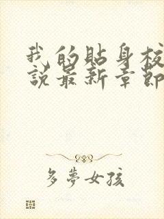 我的贴身校花小说最新章节列