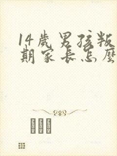 14岁男孩叛逆期家长怎么办