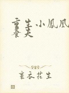 重生小凤凰的童养夫