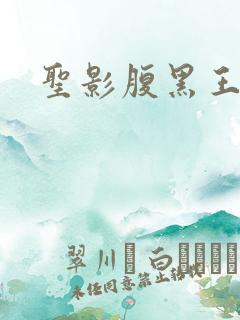 圣影腹黑王子帮