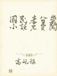 国民老公带回家小说免费阅读无弹窗