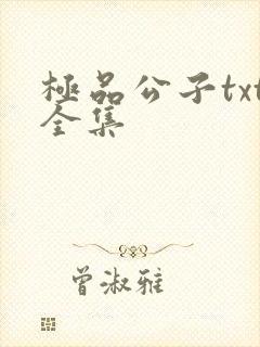 极品公子txt全集