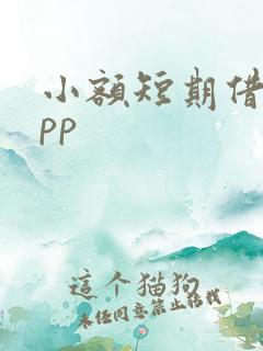 小额短期借贷app