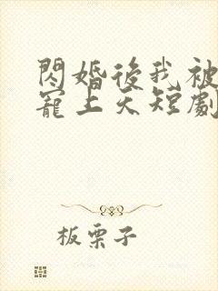 闪婚后我被总裁宠上天短剧