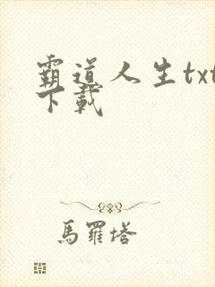 霸道人生txt下载