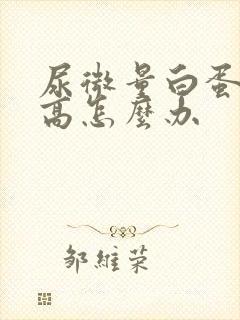 尿微量白蛋白升高怎么办