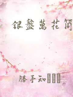 银盘万花筒小说