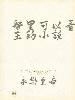 哪里可以看双男主的小说