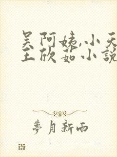 吴阿姨,小天,王欣茹小说免费阅读