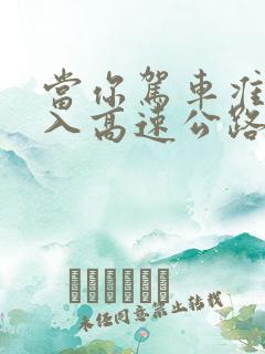 当你驾车准备驶入高速公路时你应怎样