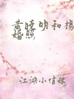 黄晓明和杨颖结婚照