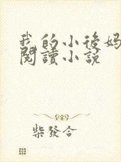我的小后妈免费阅读小说