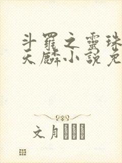 斗罗之灵珠神剑天麟小说免费阅读免费