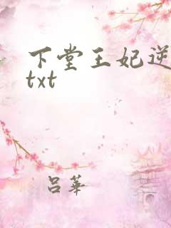 下堂王妃逆袭记txt