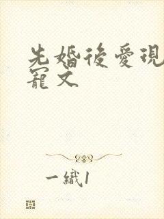 先婚后爱现言甜宠文