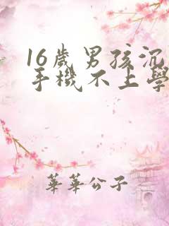 16岁男孩沉迷手机不上学怎么办